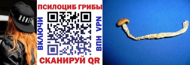 Псилоцибиновые грибы Cubensis  Анадырь 